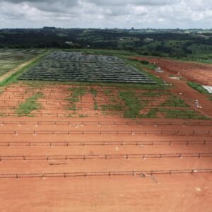 1199d1cd-605e-4a84-8d54-bb83f65115c0